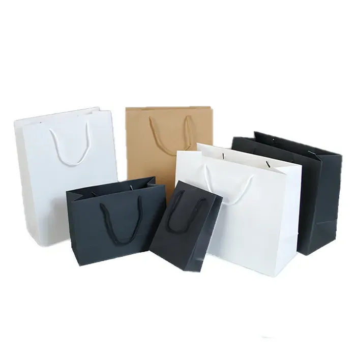 Beautiful Gift Paper Bag Manufacturers Usa